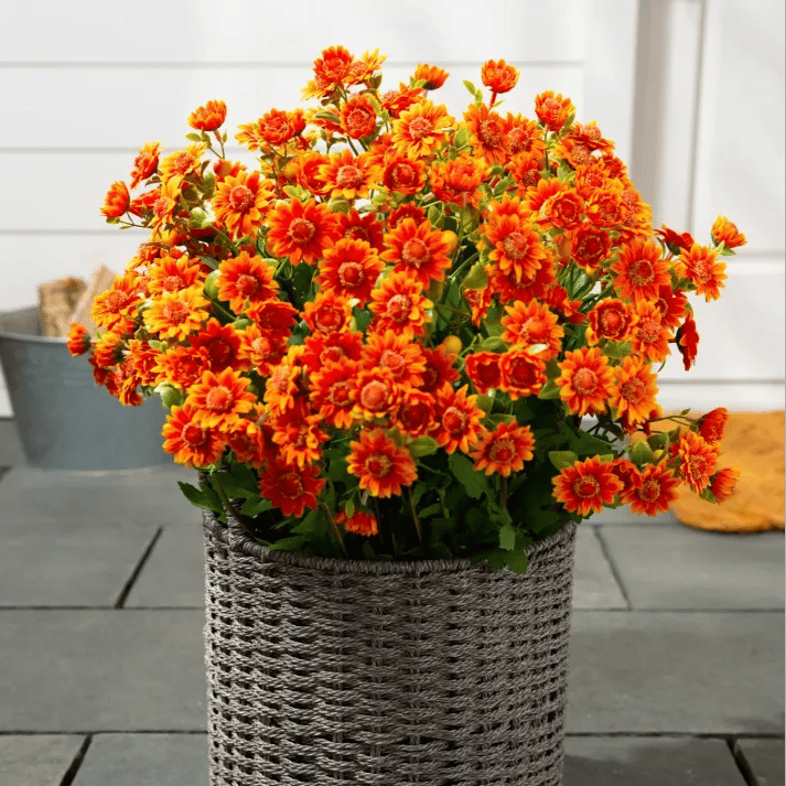 💥Sista dagen! Endast 26 SEK styck – Konstgjorda utomhusblommor "Sunset Mums" – UV-beständiga, vattentäta och vindresistenta