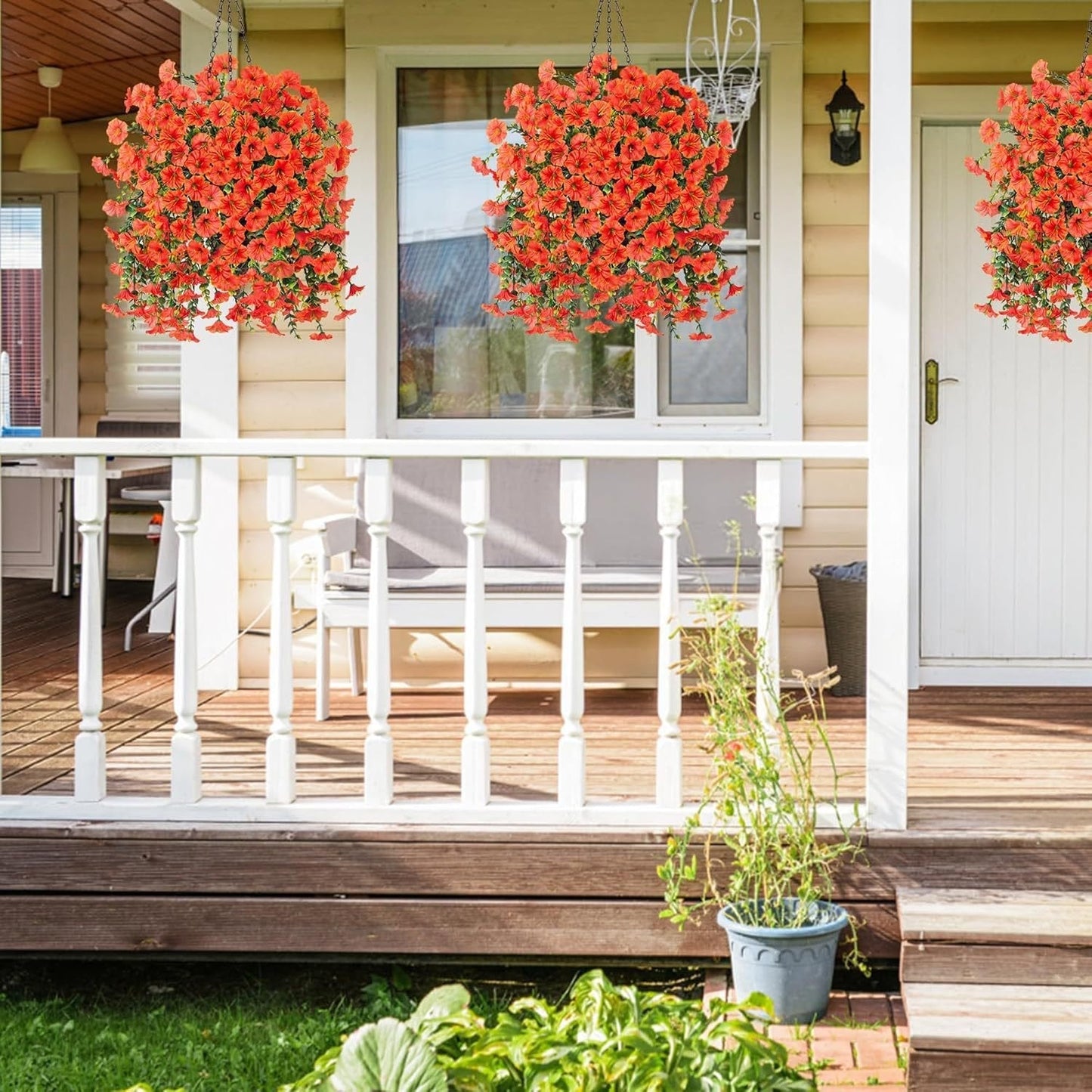 🌺 SISTA DAGEN -49% RABATT 🌺 Hängande Morgonstjärna
