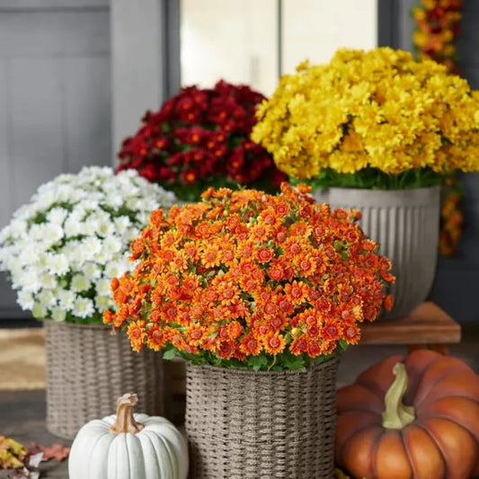 💥Sista dagen! Endast 26 SEK styck – Konstgjorda utomhusblommor "Sunset Mums" – UV-beständiga, vattentäta och vindresistenta
