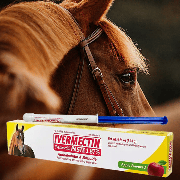 Ivermektin hästpasta 1,87% 6,08 g rör