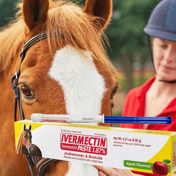 Ivermektin hästpasta 1,87% 6,08 g rör